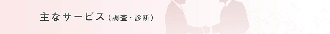 主なサービス（調査・診断）